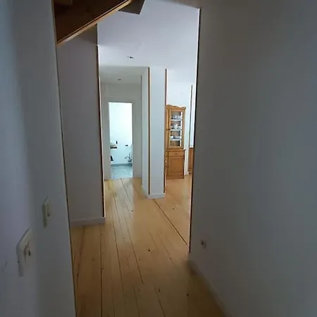 Balaitus Petfriendly - Arafita * Sallent de Gállego