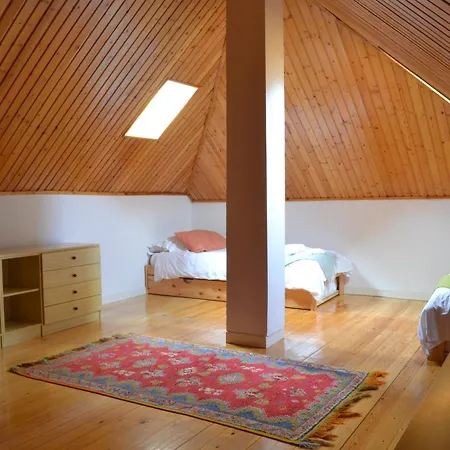 Balaitus Petfriendly - Arafita